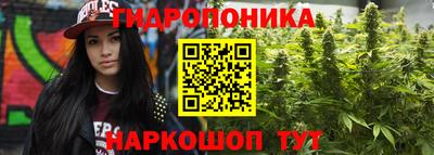тгк Бийск