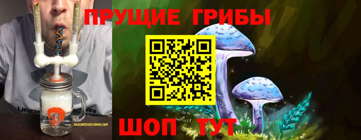 Галлюциногенные грибы GOLDEN TEACHER  Псилоцибиновые грибы ЛСД  Вход с VPN  Горно-Алтайск 